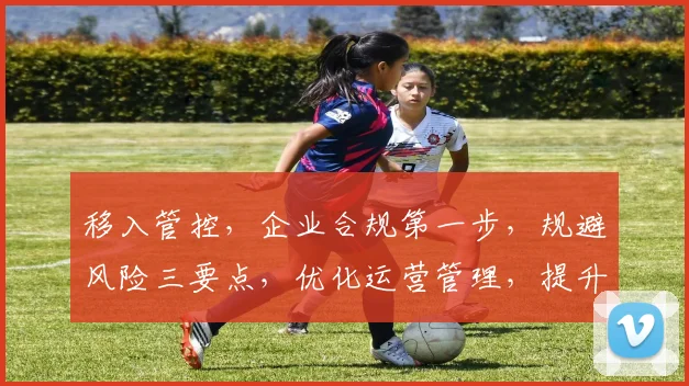 移入管控，企业合规第一步，规避风险三要点，优化运营管理，提升市场竞争力