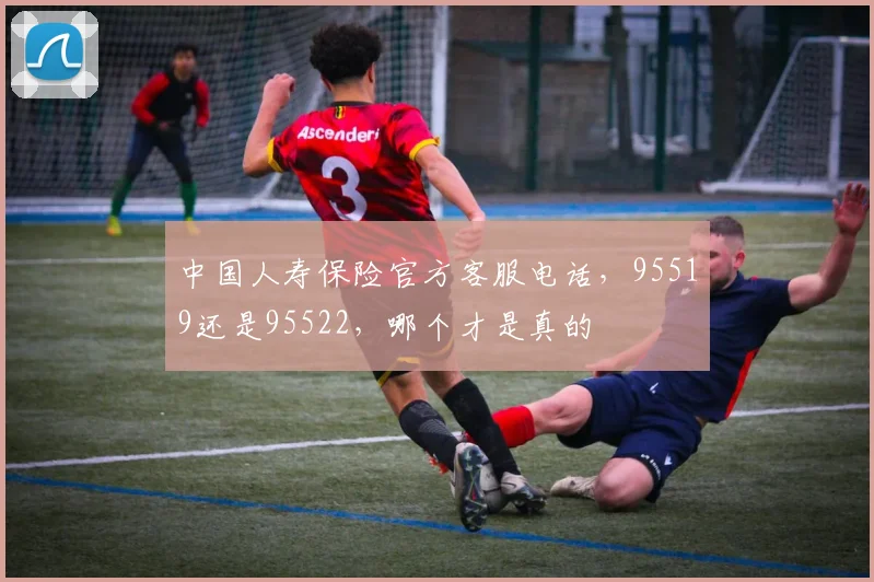 中国人寿保险官方客服电话，95519还是95522，哪个才是真的