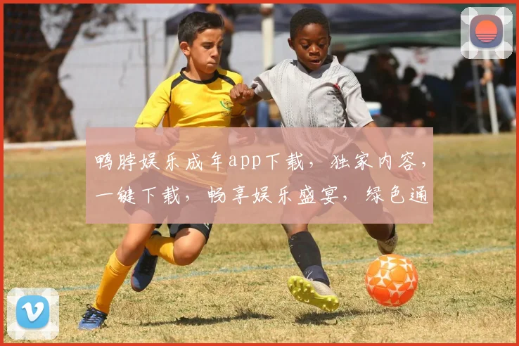 鸭脖娱乐成年app下载，独家内容，一键下载，畅享娱乐盛宴，绿色通道，轻松获取