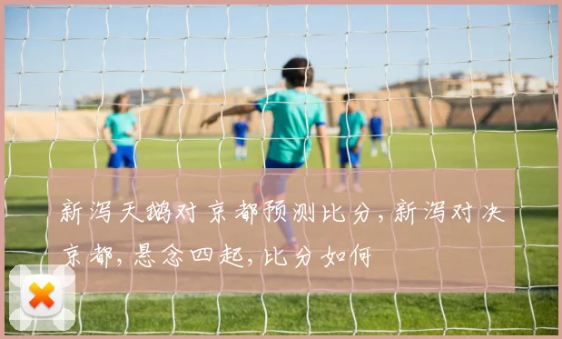 新泻天鹅对京都预测比分,新泻对决京都,悬念四起,比分如何